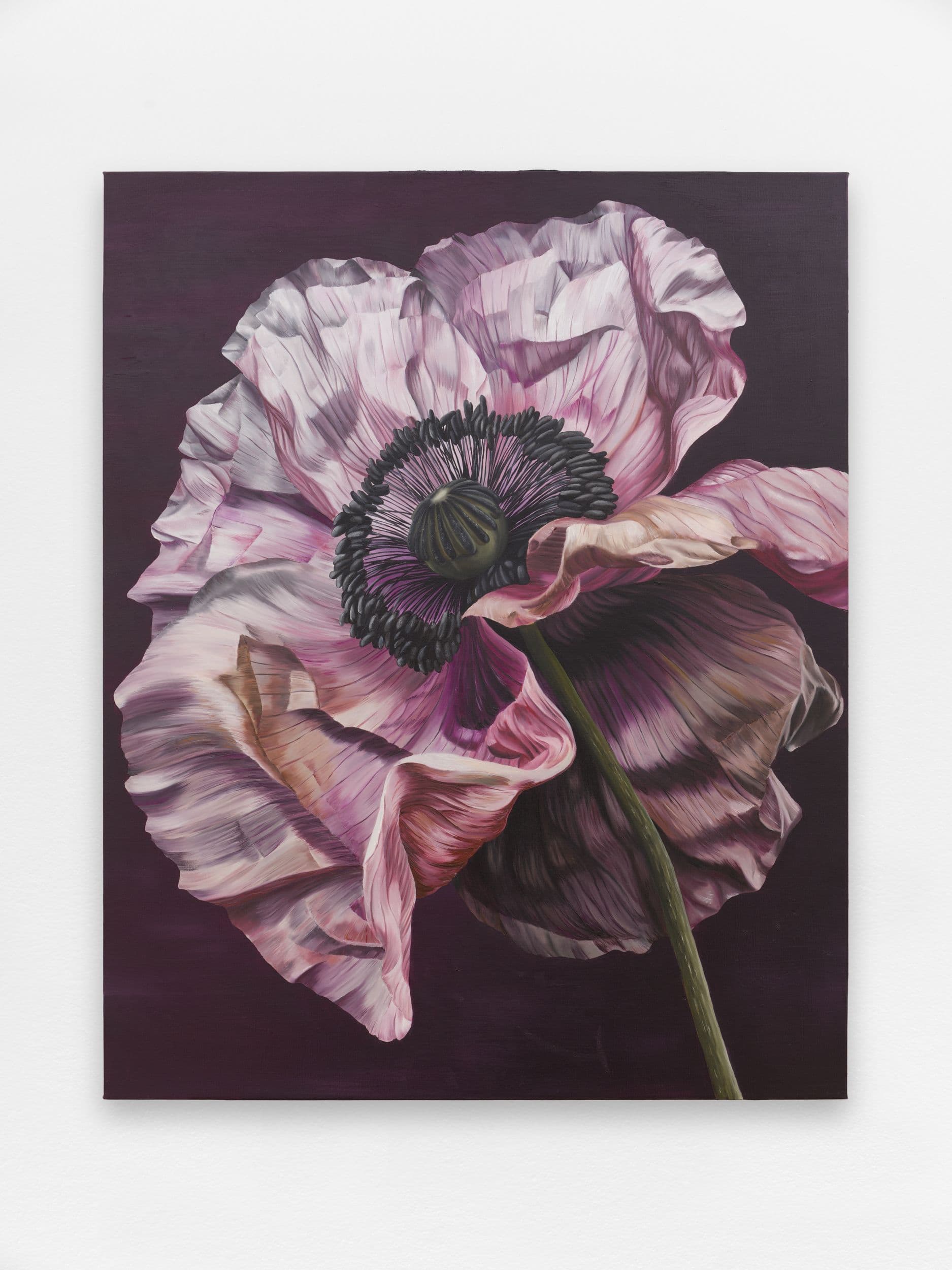 LONG STORY SHORT MOOD HOME